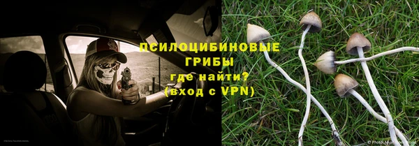 крисы Алзамай
