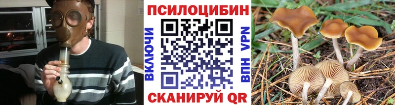 Псилоцибиновые грибы Magic Shrooms Шуя